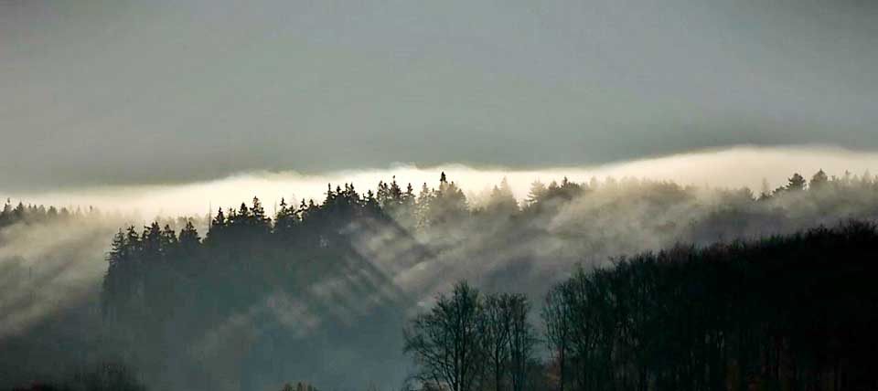 Im Teutoburger Wald  © blick4