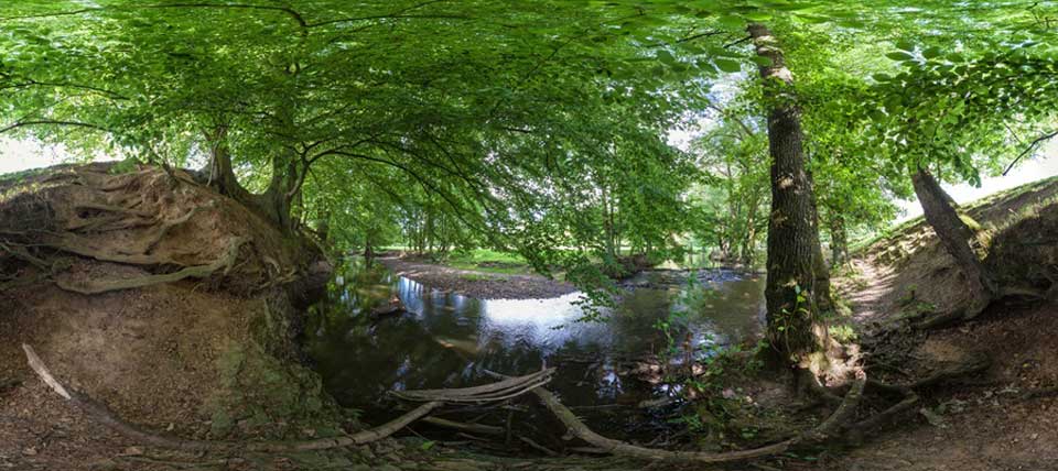 Brander Wald © NABU NRW