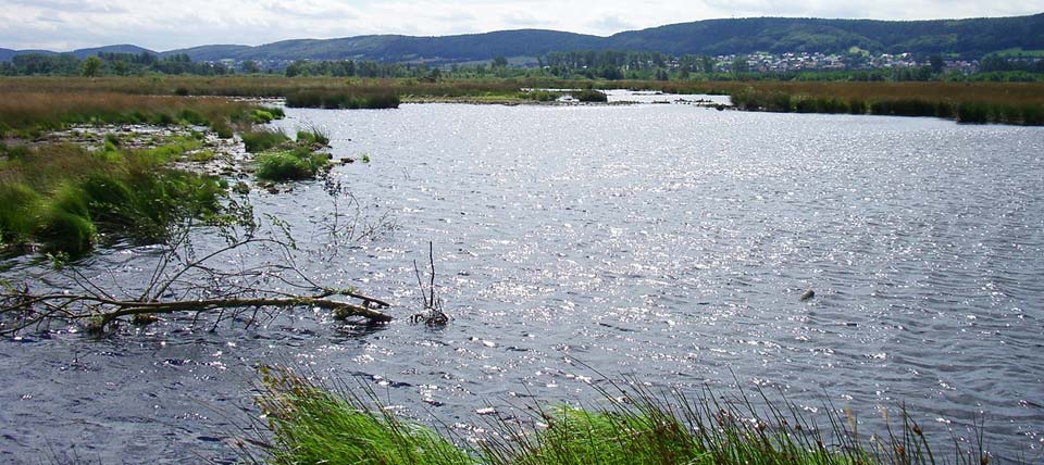 Das große Torfmoor © NABU NRW