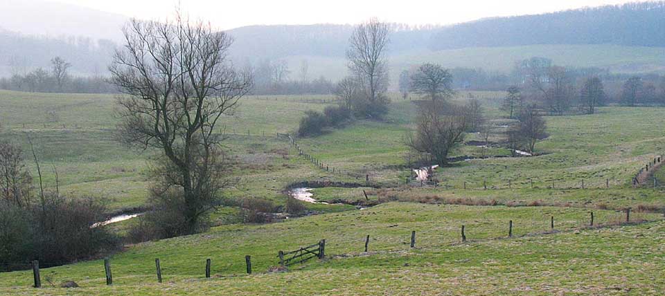 Mühlenbach bei Sandebeck © F. Grawe