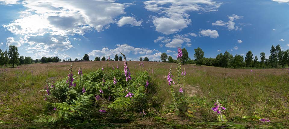 Trupbacher Heide © NABU NRW