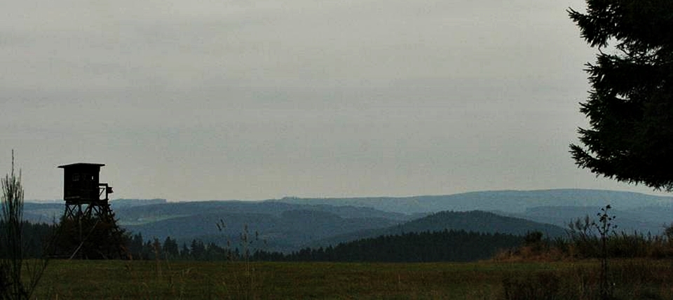 Banner für Finkental und Magergrünland bei Didoll