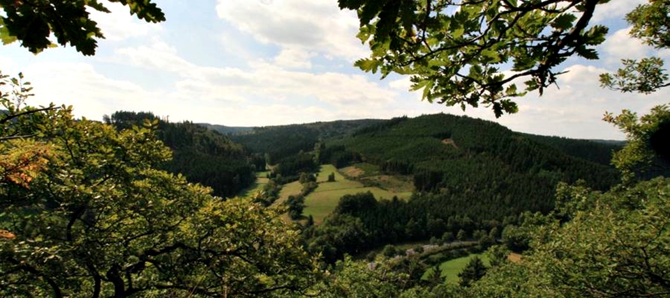 Banner für Großer Bohnstein