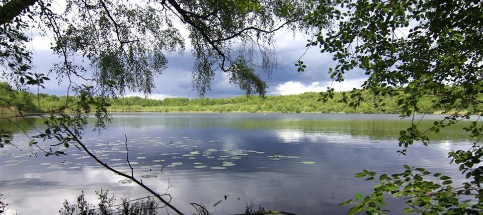 Banner für Heiliges Meer-Heupen