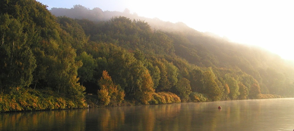 Banner für Heisinger Ruhraue