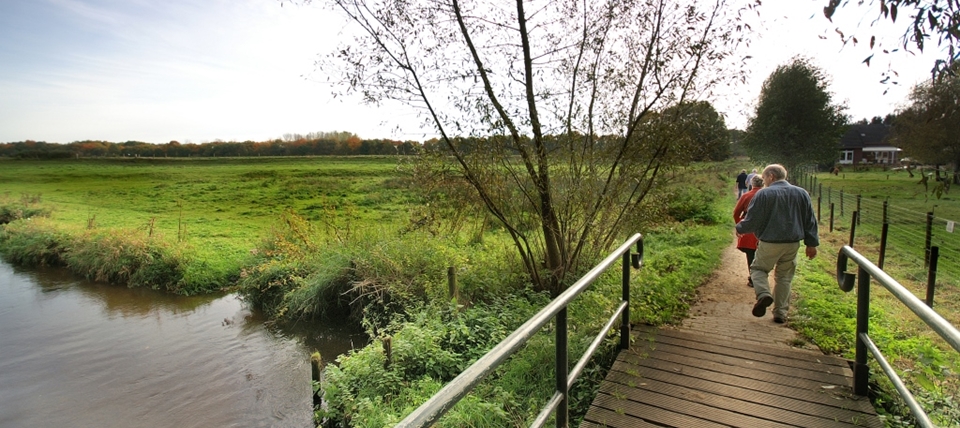 Banner für Meinweg mit Ritzroder Dünen