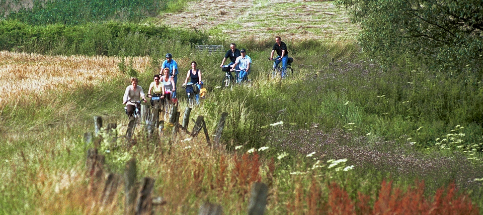 Banner für Natur- und Geopark TERRA.vita