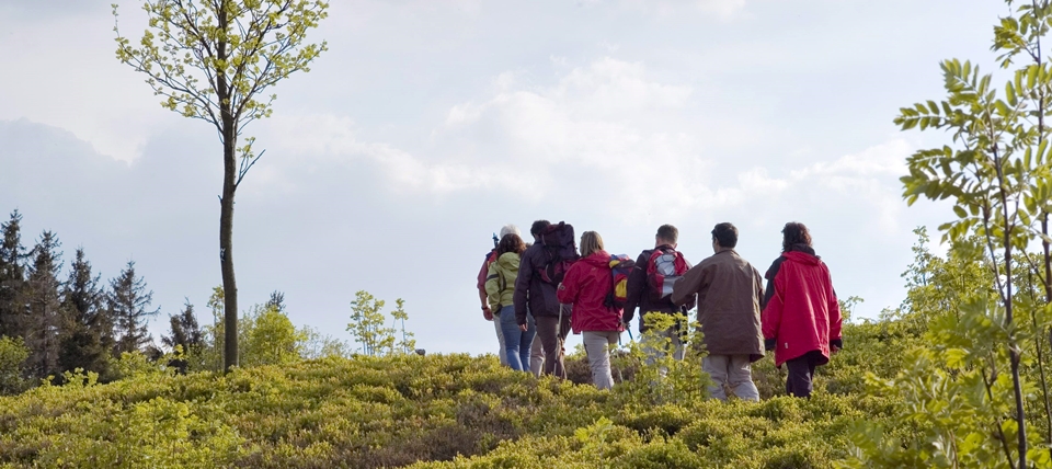 Banner für Naturpark Diemelsee