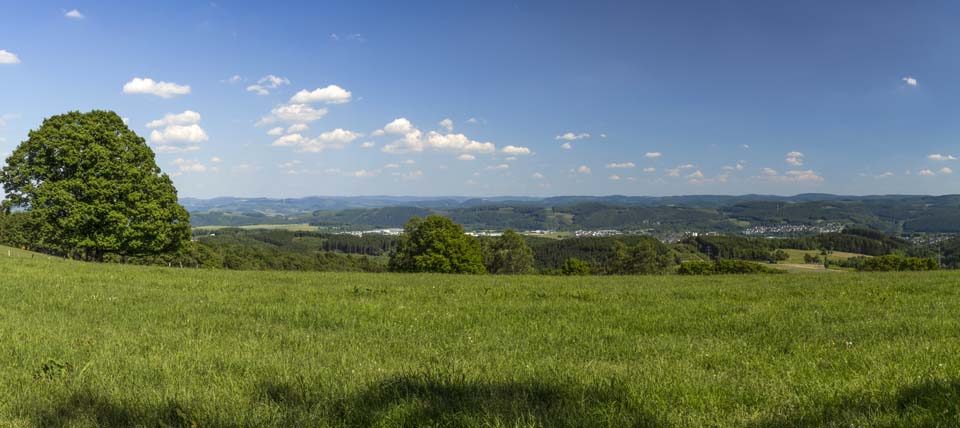 Banner für Naturpark Sauerland Rothaargebirge