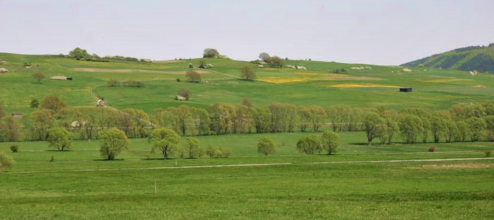 Banner für Nuhnewiesen, Wache und Dreisbachtal