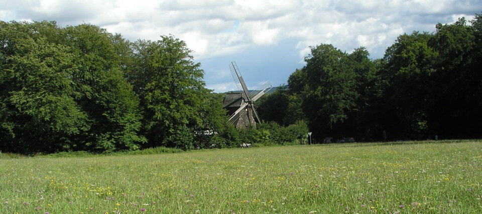 Banner für Östlicher Teutoburger Wald (NSG Ochsenberg)