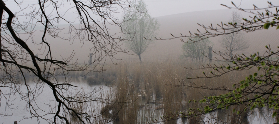 Banner für Rotthäuser und Morper Bachtal