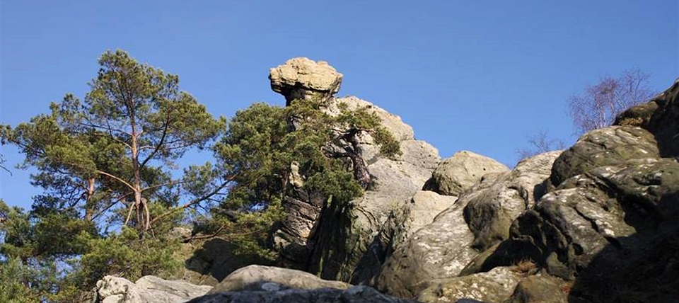 Banner für Sandsteinzug Teutoburger Wald