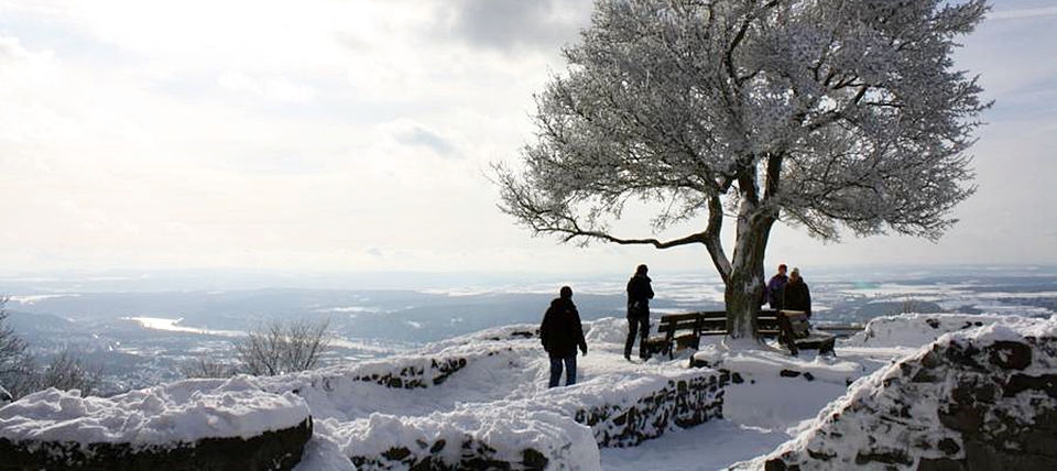 Banner für Siebengebirge