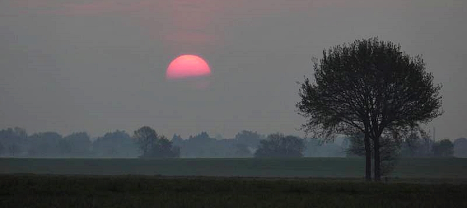 Banner für Teverener Heide