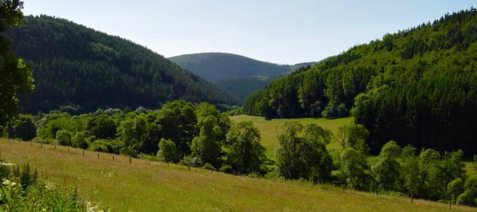 Banner für Waldreservat Glindfeld-Orketal (mit Nebentälern)