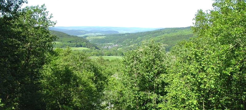 Banner für Weier- und Winterbach