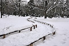 Auf verschneiten Wegen durch die Heide © NABU-Naturschutzstation