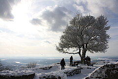 Winter auf der Löwenburg © Klaus Weddeling