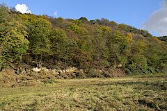 Magerwiese © Biologische Station Bonn / Rhein-Erft