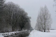 Raureif © Biologische Station Bonn / Rhein-Erft