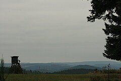 Weiter Blick über das Wittgensteiner Land © Regionalforstamt Siegen-Wittgenstein