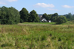 Beweidete Hochstaudenfluren © Michael Gertz