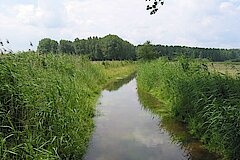 Renaturierter Mühlenbach © Haus der Natur, Biologische Station im Rhein-Kreis Neuss e.V.