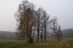 Herbststimmung im Schutzgebiet © Michael Gertz