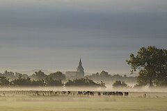 Blick auf die Kranenburger Kirche © Nicole Feige