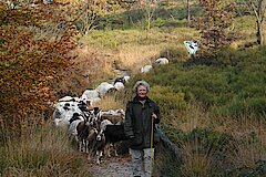 Bergheidepflege auf der Lippischen Velmerstot © A. Lücke