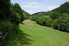 Blick ins Liesetal © Biologische Station HSK