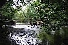 Wehr im Dhünntal © Biostation-Rhein-Berg