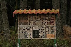 Insektenhotel © Regionalforstamt Siegen-Wittgenstein