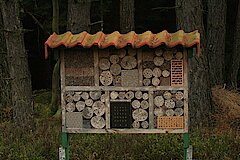 Insektenhotel © Regionalforstamt Siegen-Wittgenstein
