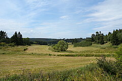 Haubachtal © Biologische Station im Kreis Euskirchen e.V.