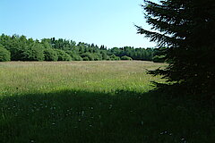 Sistig-Krekeler Heide © Biologische Station im Kreis Euskirchen