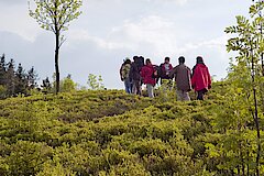 Wandergruppe am Horizont © Naturpark Diemelsee