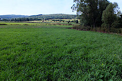 Gehölzsaum am Wetterbach © Ursula Siebel