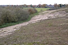 Wisseler Düne © Naturschutzzentrum im Kreis Kleve