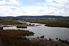 Weiter Blick über das Moor © Thorsten Wiegers