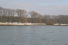 Zons im Winter (1) © Haus der Natur, Biologische Station im Rhein-Kreis Neuss e.V.