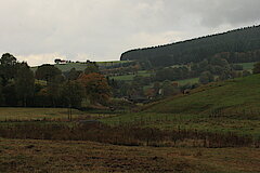 Blick auf Birkefehl © Regionalforstamt Siegen-Wittgenstein