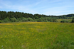 Haubachtal © Biologische Station im Kreis Euskirchen e.V.