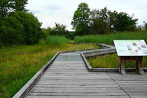 Ausgebaute Wege durch den Hervester Bruch