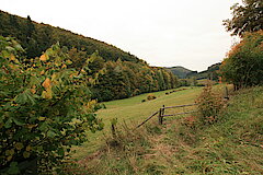 Panoramablick © Regionalforstamt Siegen-Wittgenstein