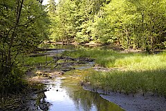 Hasselbachtal © H. Sonnenburg