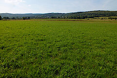 Wetterbachtal © Ursula Siebel