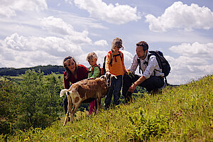 Wandern um Dalhausen