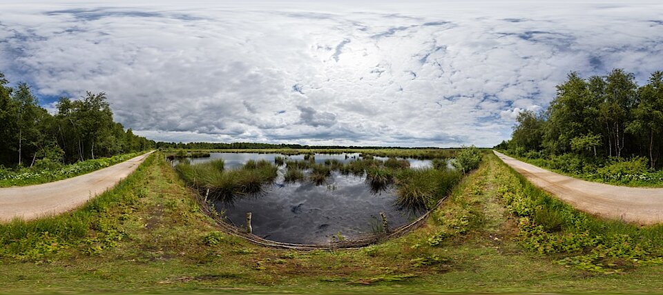 Emsdettener Venn © NABU NRW